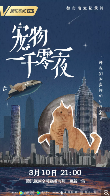 [夸克网盘]国内纪录片《宠物一千零一夜》 (2021)  豆瓣评分8.3