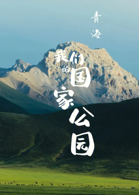 [夸克网盘]国内纪录片  《青海·我们的国家公园》（2021）豆瓣评分8.4